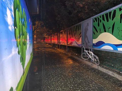 刚下过雨的地面湿漉漉的