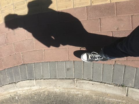 生活照片